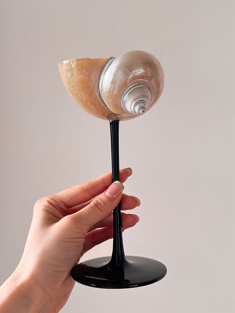 천연 소라껍질 샴페인 잔 (검정 손잡이 포함), 해안  - Home Bar Set 리뷰 및 가격